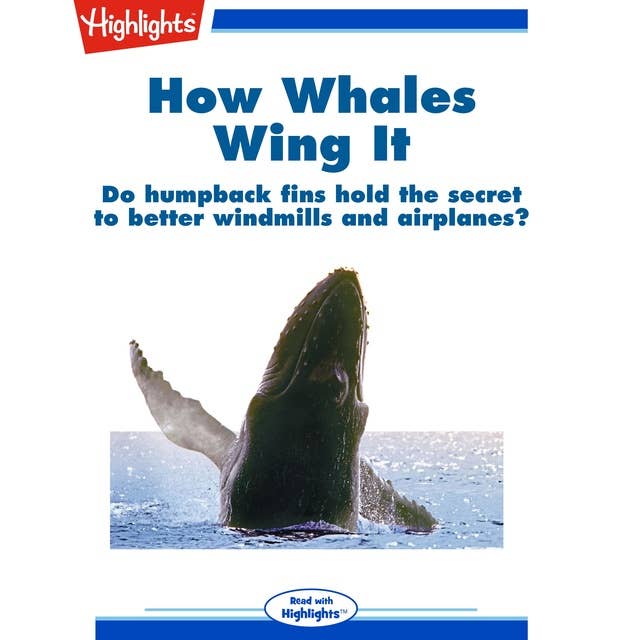 How Whales Wing It
