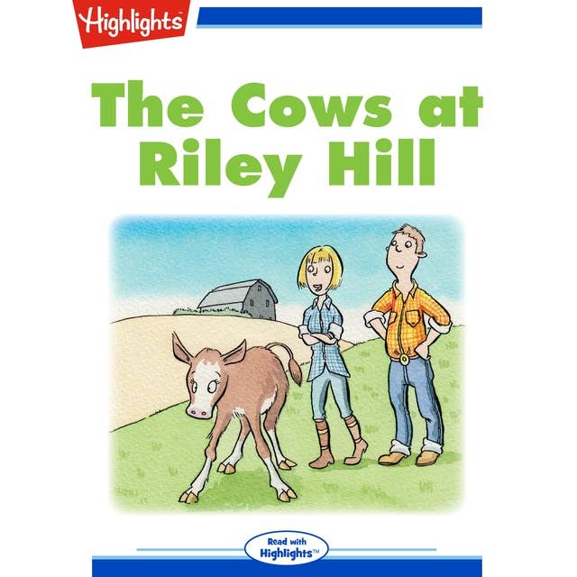 The Cows at Riley Hill