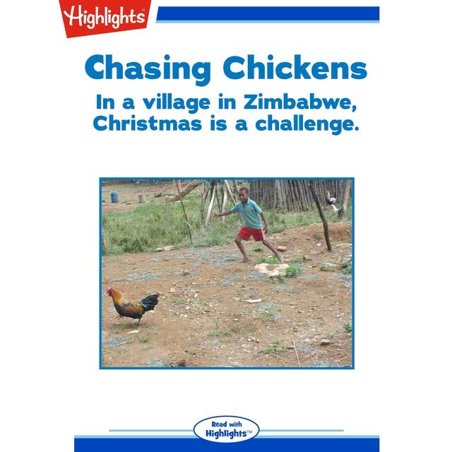 Chasing Chickens