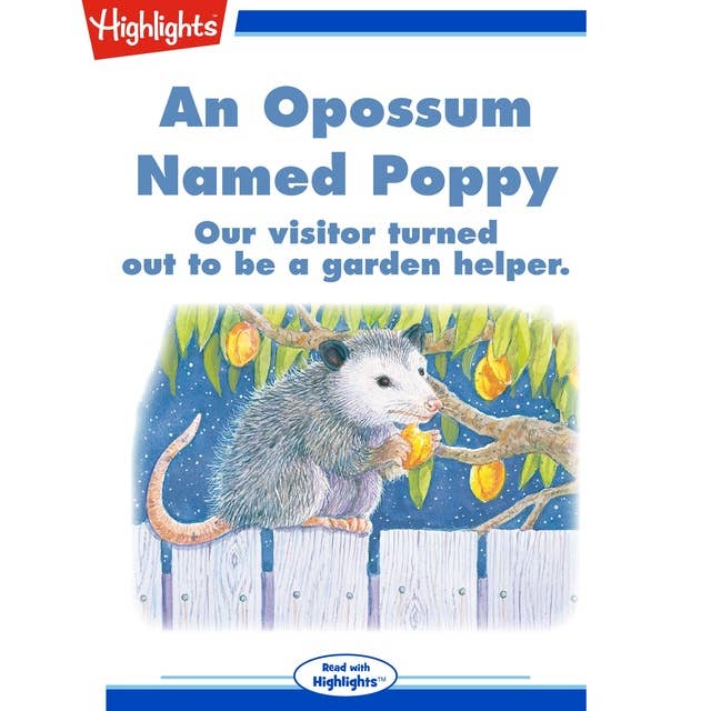 An Opossum Named Poppy: Our Visitor Turned Out to Be a Garden Helper