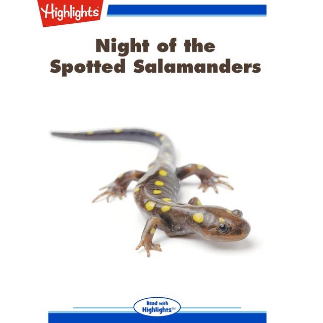 Night of the Spotted Salamanders