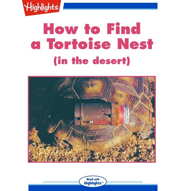 How to Find a Tortoise Nest