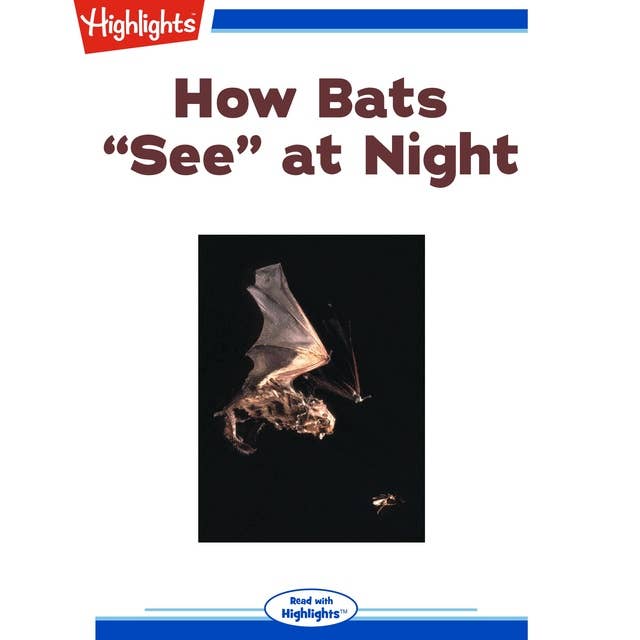 How bats "see" at night