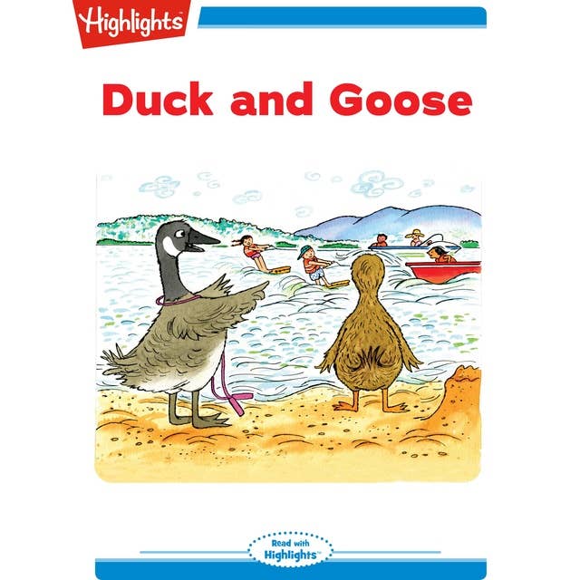 Duck and Goose