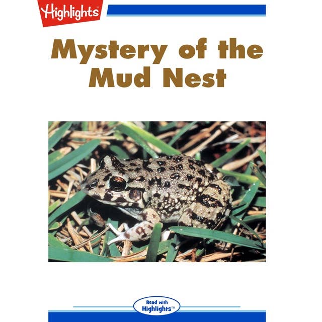 Mystery of the Mud Nest