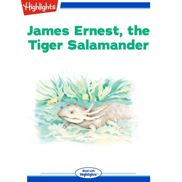 James Ernest the Tiger Salamander