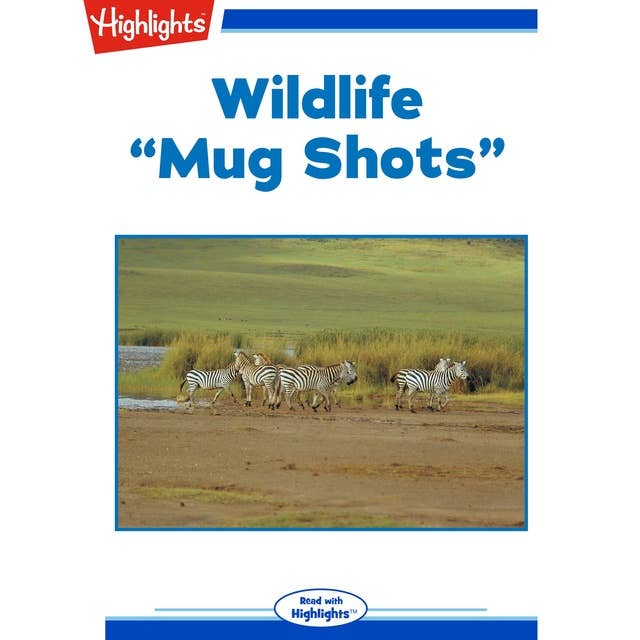 Wildlife: Mug Shots