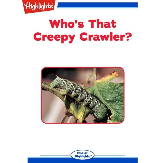 Who's That Creepy Crawler?