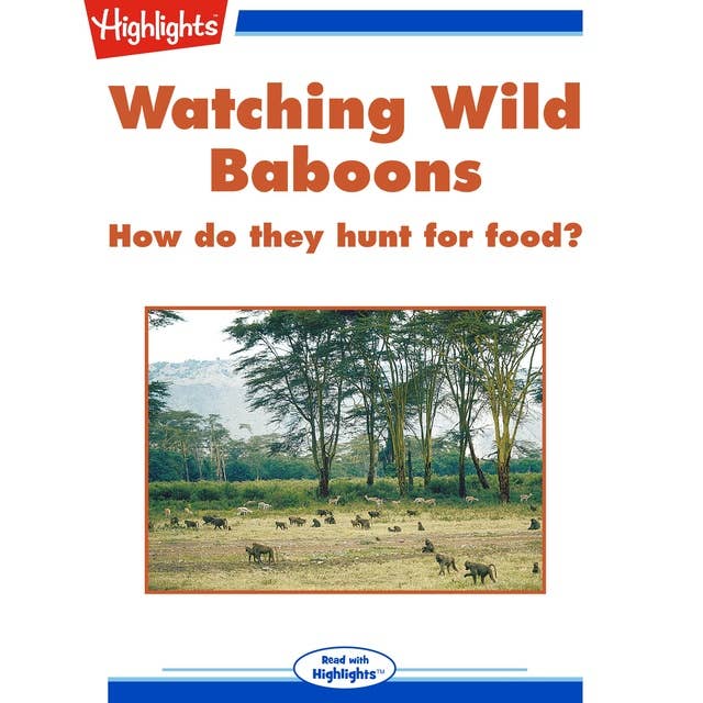 Watching Wild Baboons: How do they hunt for food?