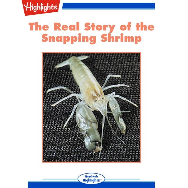 The Real Story of the Snapping Shrimp