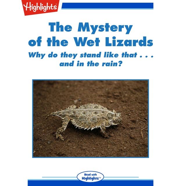 The Mystery of the Wet Lizards: Why do they stand like that...and in the rain?
