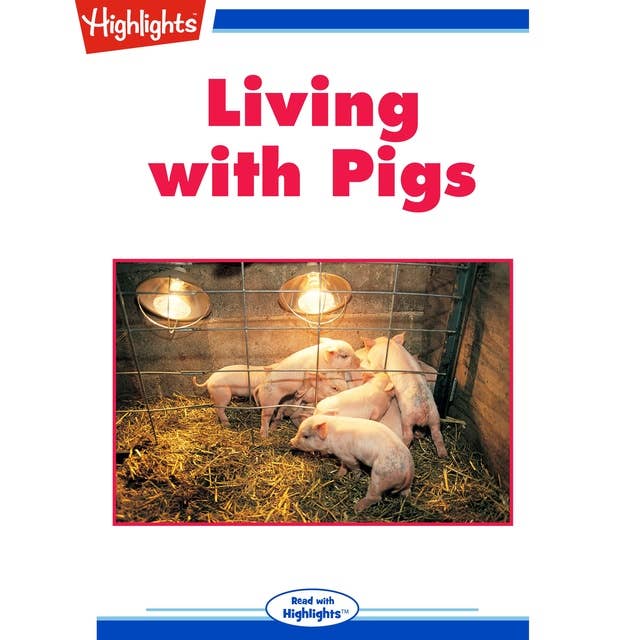 Living with Pigs
