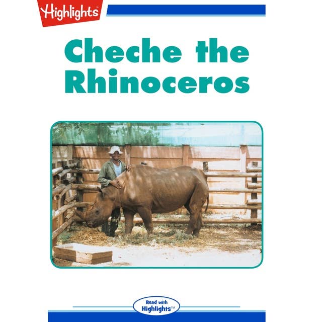 Cheche the Rhinoceros