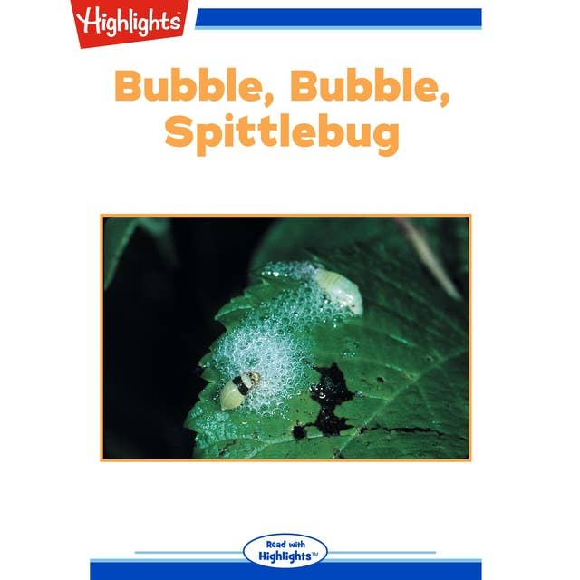 Bubble, Bubble, Spittlebug: Read with Highlights