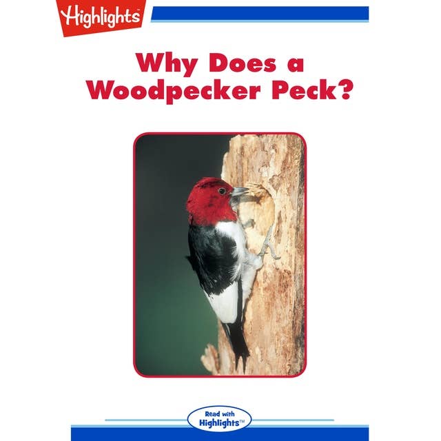 Why Does a Woodpecker Peck?