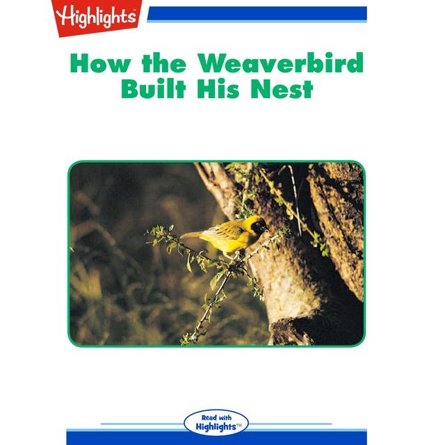 How the Weaverbird Built His Nest