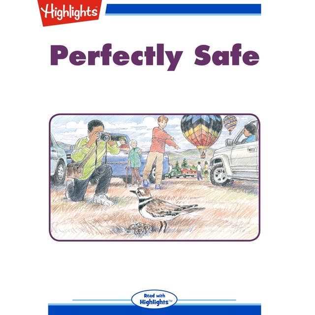 Perfectly Safe