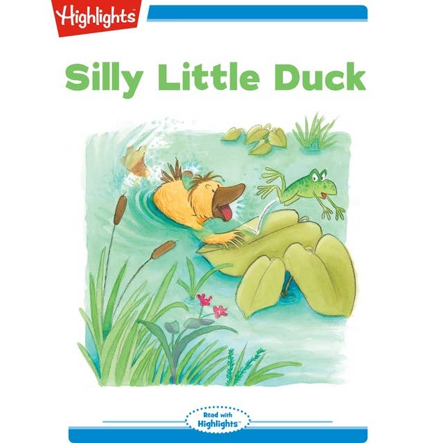 Silly Little Duck