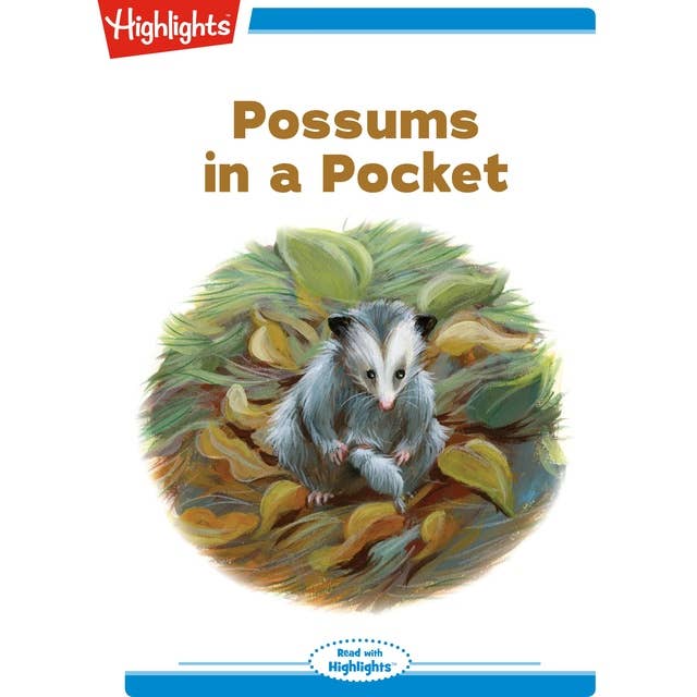 Possums in a Pocket