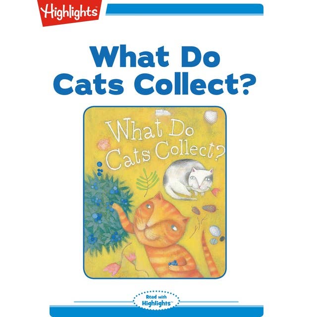 What Do Cats Collect?