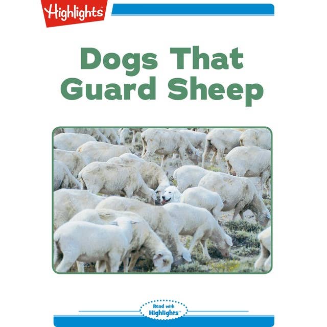 Dogs That Guard Sheep