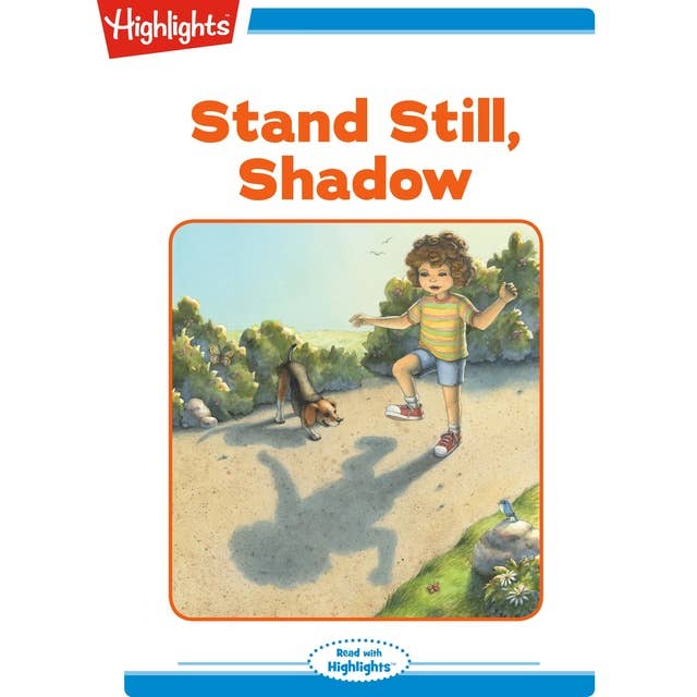 Stand Still Shadow