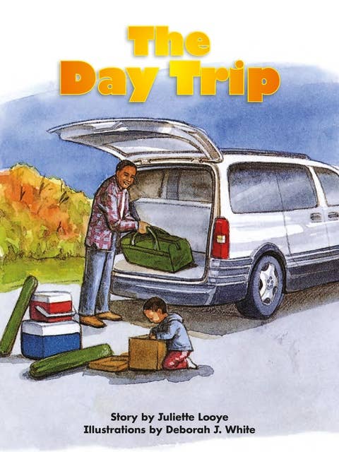 The Day Trip