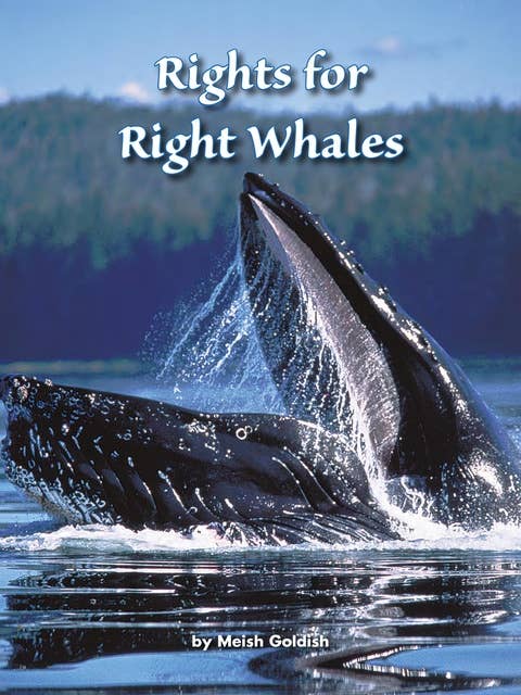 Rights for Right Whales