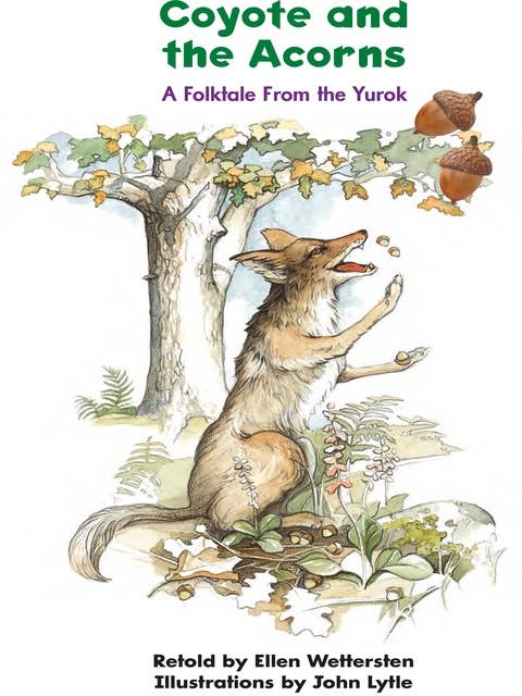 Coyote and the Acorns: A Folktale from the Yurok