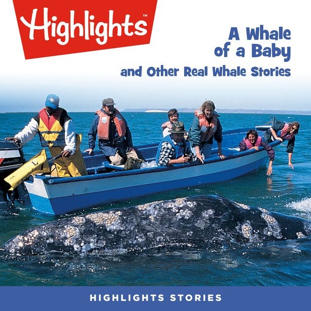A Whale of a Baby and Other Real Whale Stories