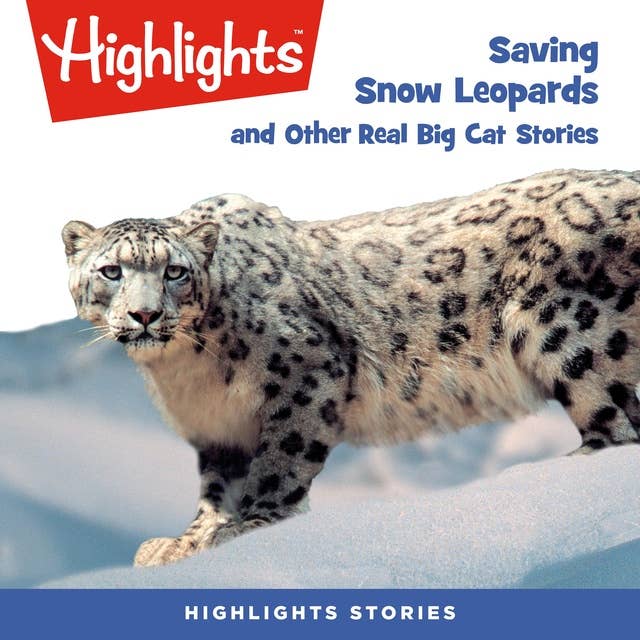 Saving Snow Leopards and Other Real Big Cat Stories