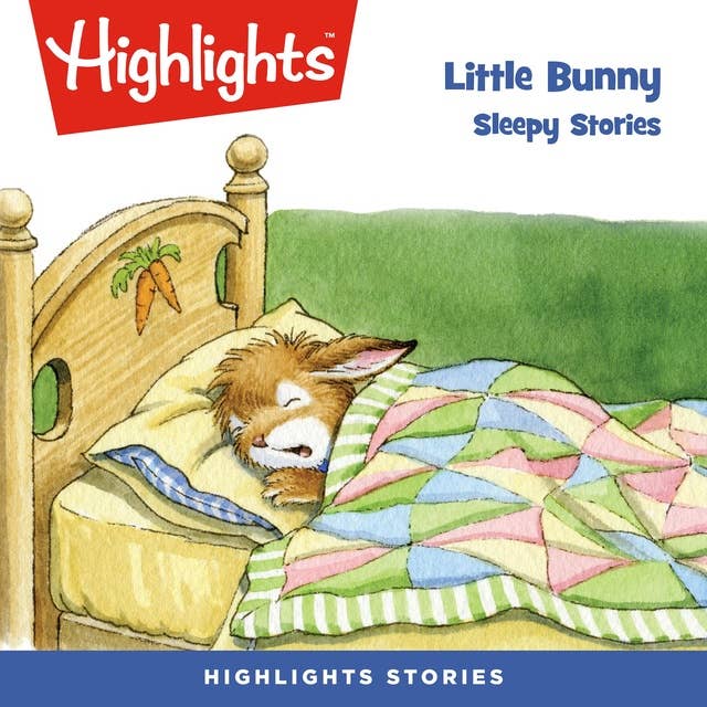 Little Bunny Sleepy Stories: Little Bunny