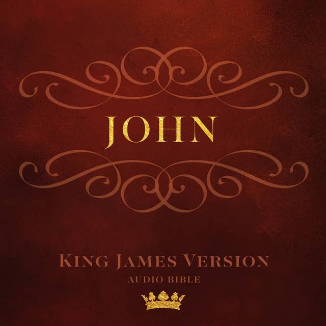 Cover for Book of John: King James Version Audio Bible
