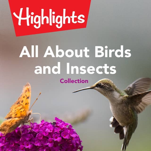 All About Birds and Insects Collection
