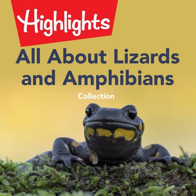 All About Lizards and Amphibians Collection