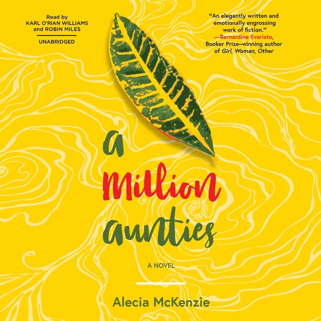 A Million Aunties: A Novel