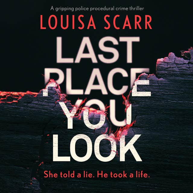Last Place You Look: A gripping police procedural crime thriller