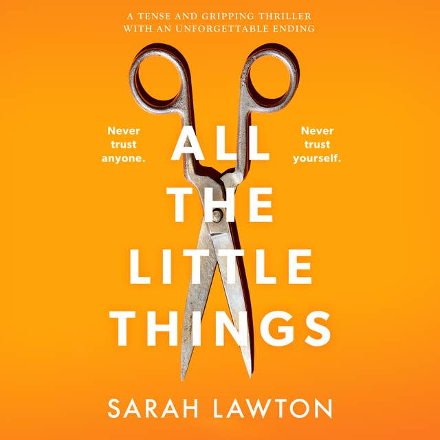 All The Little Things: A tense and gripping thriller with an unforgettable ending