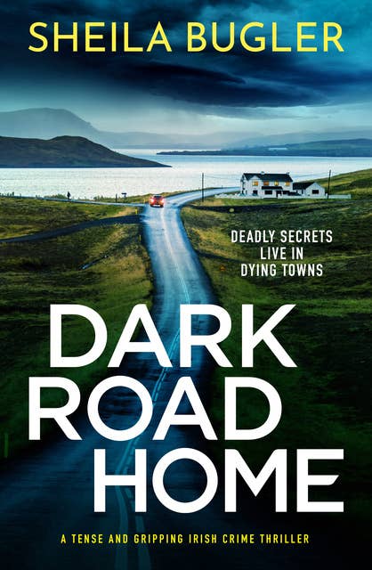 Dark Road Home: A tense and gripping Irish crime thriller