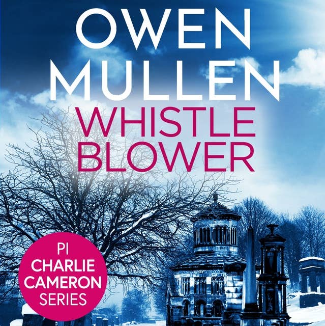 Whistleblower: A fast-paced crime thriller from Owen Mullen