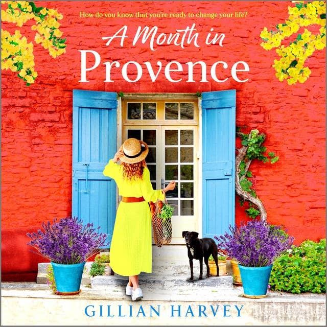 A Month in Provence: An escapist feel-good romance from Gillian Harvey