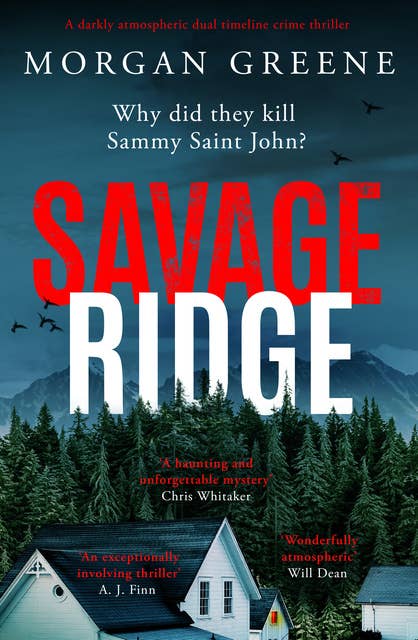 Savage Ridge: A darkly atmospheric dual timeline crime thriller