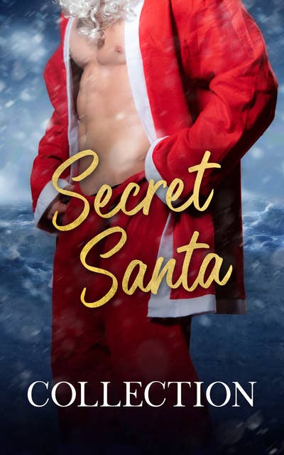 Secret Santa: A Pride Publishing Box Set