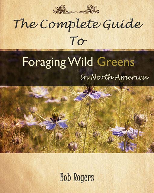 The Complete Guide to Foraging Wild Greens in North America