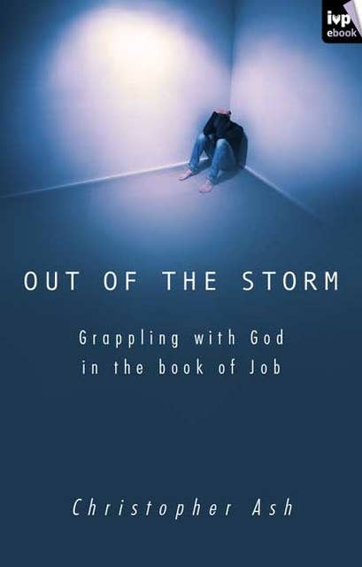 Out of the storm: Questions And Consolations From The Book Of Job