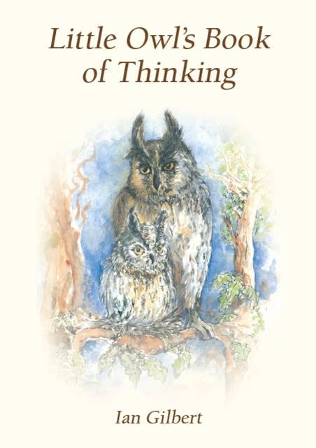 Little Owl's Book of Thinking: An Introduction to Thinking Skills