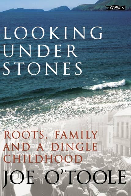 Looking Under Stones: Roots, Family and a Dingle Childhood