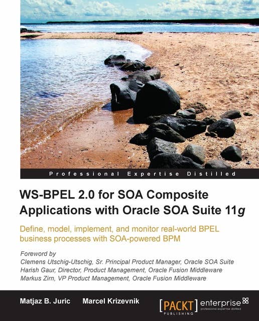 WS-BPEL 2.0 for SOA Composite Applications with Oracle SOA Suite 11g: Define, model, implement, and monitor real-world BPEL business processes with SOA powered BPM.