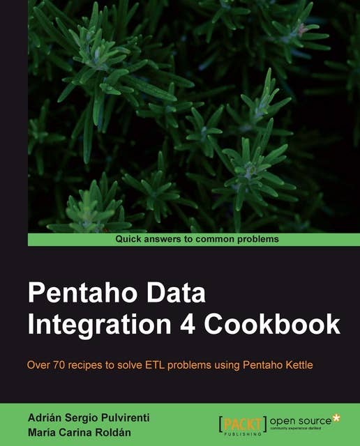 Pentaho Data Integration 4 Cookbook: Over 70 recipes to solve ETL problems using Pentaho Kettle