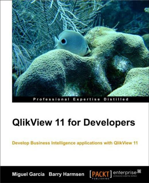 QlikView 11 for Developers: This book is smartly built around a practical case study – HighCloud Airlines – to help you gain an in-depth understanding of how to build applications for Business Intelligence using QlikView. A superb hands-on guide.
